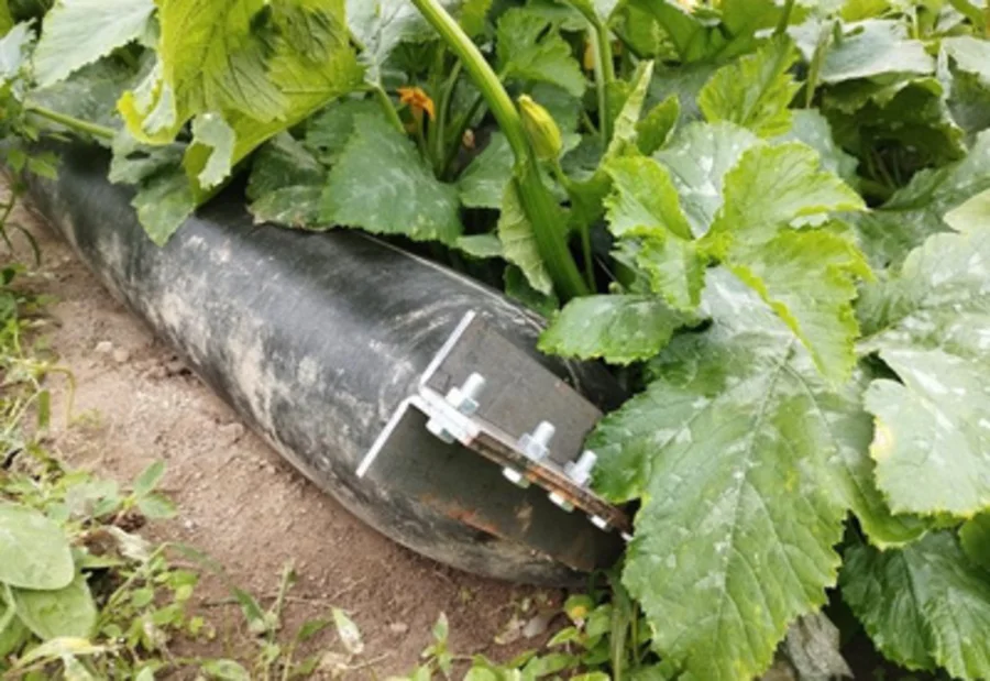 Tube THERMOTEC posé au sol entre les rangs de culture sous serre